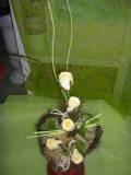 photo11