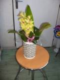 photo04