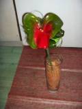 photo05