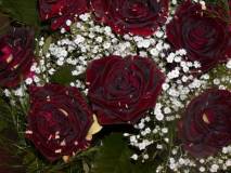 photo11