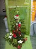 photo19