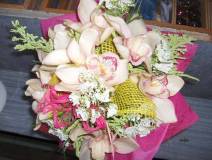 photo20
