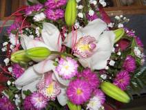 photo23