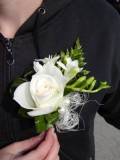 photo10