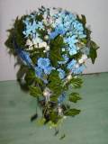photo11