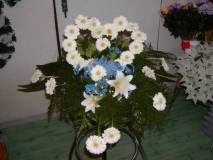photo12