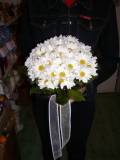 photo13