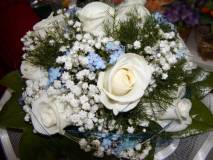 photo15