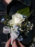 photo16