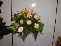 photo20