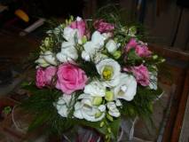 photo23