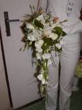 photo24