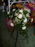photo34