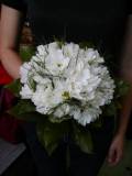 photo40