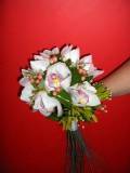 photo47
